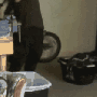 king-cobra-jfs-guitar.gif